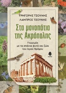 ΣΤΑ ΜΟΝΟΠΑΤΙΑ ΤΗΣ ΑΚΡΟΠΟΛΗΣ ΣΤΑ ΜΟΝΟΠΑΤΙΑ ΤΗΣ ΑΚΡΟΠΟΛΗΣ