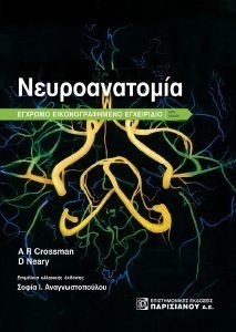 ΝΕΥΡΟΑΝΑΤΟΜΙΑ ΝΕΥΡΟΑΝΑΤΟΜΙΑ
