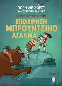 ΕΠΙΧΕΙΡΗΣΗ ΜΠΡΟΥΝΤΖΙΝΟ ΑΓΑΛΜΑ 108185220