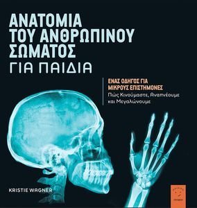 ΑΝΑΤΟΜΙΑ ΤΟΥ ΑΝΘΡΩΠΙΝΟΥ ΣΩΜΑΤΟΣ ΓΙΑ ΠΑΙΔΙΑ ΑΝΑΤΟΜΙΑ ΤΟΥ ΑΝΘΡΩΠΙΝΟΥ ΣΩΜΑΤΟΣ ΓΙΑ ΠΑΙΔΙΑ