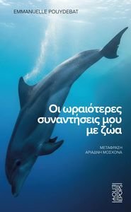 �� ���������� ����������� ��� �� ���