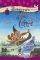 �� �������� ��� ���� ��2