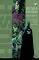 BATMAN: HUSH -    