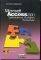MICROSOFT ACCESS 2000   ...