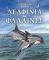 ΤΟ ΑΓΑΠΗΜΕΝΟ ΜΟΥ ΒΙΒΛΙΟ ΔΕΛΦΙΝΙΑ ΚΑΙ ΦΑΛΑΙΝΕΣ ΤΟ ΑΓΑΠΗΜΕΝΟ ΜΟΥ ΒΙΒΛΙΟ ΔΕΛΦΙΝΙΑ ΚΑΙ ΦΑΛΑΙΝΕΣ