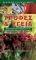 ������ ��� �����