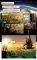 TRANSFORMERS REVENGE OF THE FALLEN