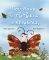 ��� ���� �� ��������� �� �������;