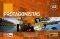 PROTAGONISTAS A2 CUADERNO DE LEXICO /...