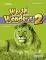 WORLD WONDERS 2 WORKBOOK