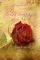 �� ���� ��� ������