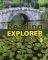 READING EXPLORER 3 (+ CD-ROM)