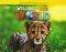 WELCOME TO OUR WORLD 3 ACTIVITY BOOK (+ AUDIO...