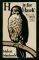 H IS FOR HAWK