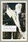 �������������
