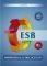 ESB B2 PREPARATION & PRACTICE TESTS STUDENTS ...