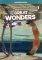 GREAT WONDERS 1 GRAMMAR BOOK