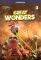 GREAT WONDERS 2 COMPANION  (+CD)