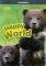 HAPPY WORLD 2 COMPANION (+ AUDIO CD)