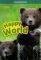HAPPY WORLD 2 GRAMMAR