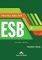 PRACTICE TESTS ESB B1 STUDENTS BOOK (+ DIGIBO...