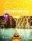 GOLD EXPERIENCE B1+ STUDENTS BOOK (+ E-BOOK)