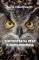 � ����������� ���� � ��������������