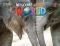 WELCOME TO OUR WORLD 3 STUDENTS BOOK (+ ONLIN...