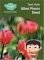 SCIENCE BUG WHAT PLANTS NEED