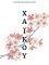 XAIKOY