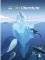 INTO LITERATURE STUDENT EDITION SOFTCOVER GRA...