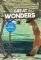 GREAT WONDERS 1 BUNDLE (STUDENTS BOOK + EBOOK...