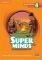 SUPER MINDS 4 FLASHCARDS 2ND ED