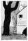 � ���� �����