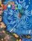 OUR WORLD 5 STUDENTS BOOK ( + SPARK) BRIT. ED...