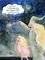 �� ������� ��� ��� ������� ����