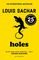 HOLES