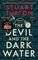 THE DEVIL AND THE DARK WATER (PAPERBACK)
