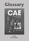 CAE PRACTICE TESTS GLOSSARY