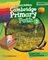 CAMBRIDGE PRIMARY PATH 2 GRAMMAR AND WRITING ...