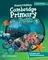 CAMBRIDGE PRIMARY PATH 5 GRAMMAR AND WRITING ...