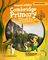 CAMBRIDGE PRIMARY PATH FOUNDATION ACTIVITY BO...