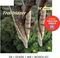 TRAILBLAZER 1 SUPER PACK FOR GREECE (SB + SPA...