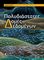 ΠΟΛΥΔΙΑΣΤΑΤΕΣ ΔΟΜΕΣ ΔΕΔΟΜΕΝΩΝ ΠΟΛΥΔΙΑΣΤΑΤΕΣ ΔΟΜΕΣ ΔΕΔΟΜΕΝΩΝ