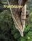 TRAILBLAZER 1 STUDENTS BOOK ( + SPARK)