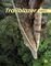 TRAILBLAZER 1 WORKBOOK