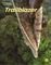 TRAILBLAZER 1 BUNDLE (STUDENTS BOOK + SPARK +...