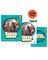 SUPER MINDS 3 SUPER PACK 2 (SB + WB + SUPER P...