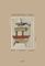 ����������� �����