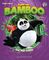 ENGLISH WITH BAMBOO ONE YEAR COURSE PUPILS BO...